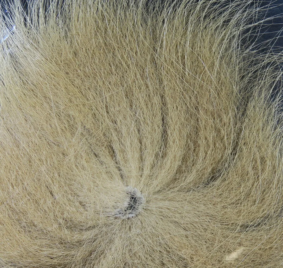 Arctic Fox Tail Hair