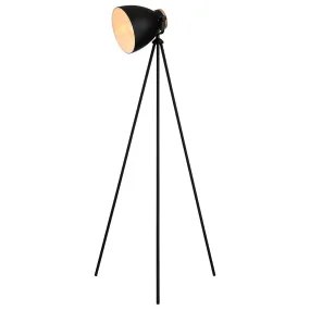 Edithvale Decorative Floor Lamp