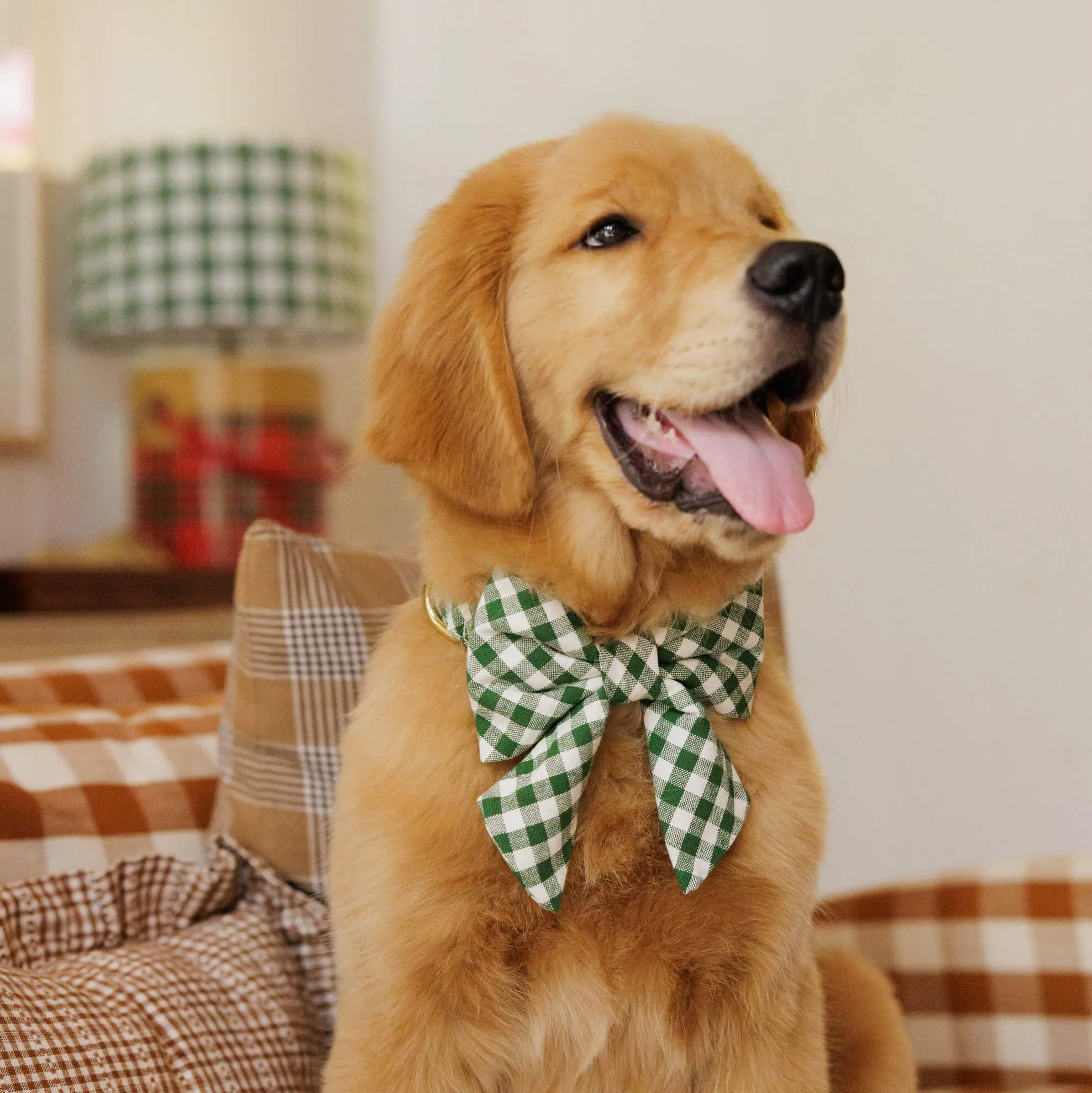 Heather Taylor Home x TFD Mini Gingham Hunter Green Lady Dog Bow