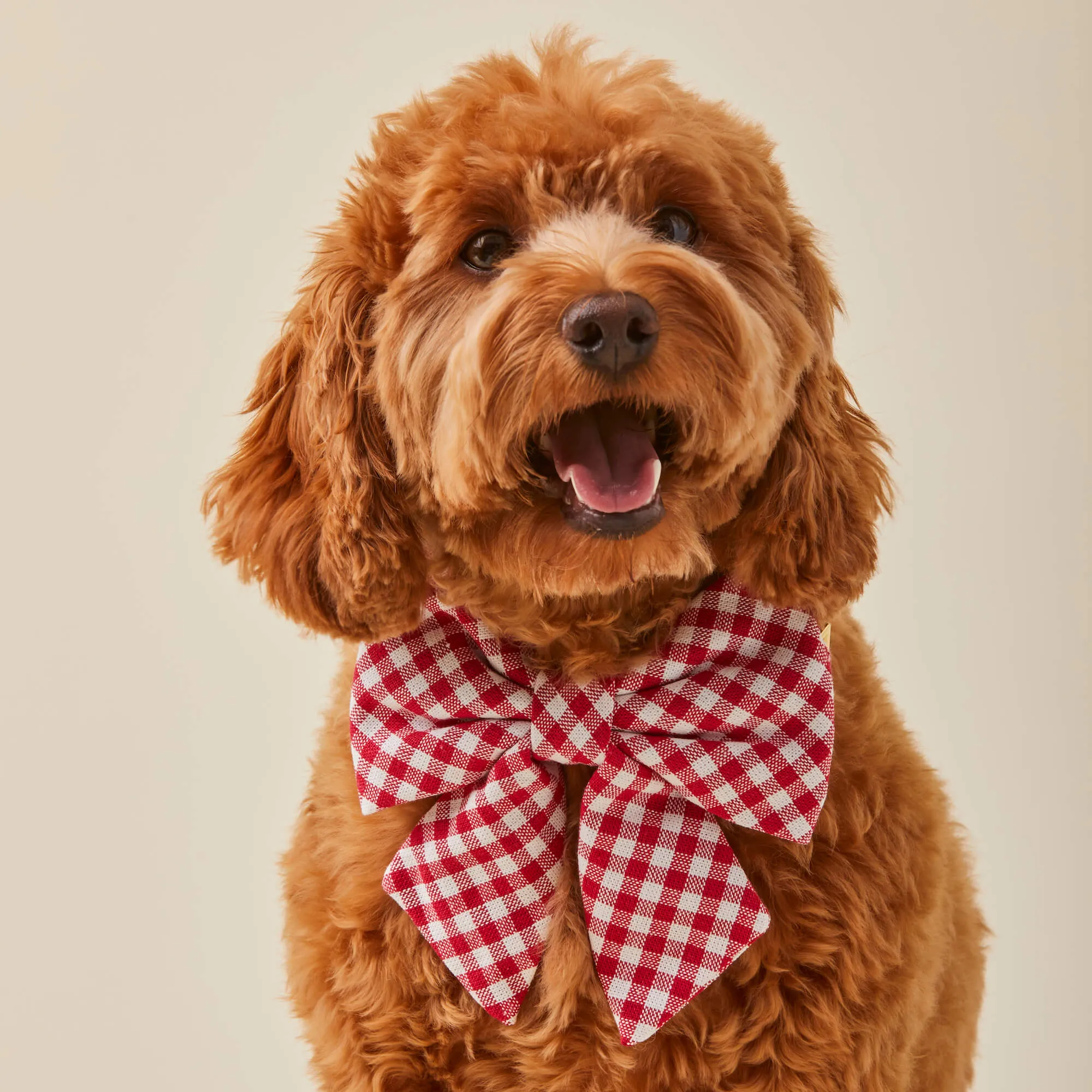 Red Gingham Lady Dog Bow